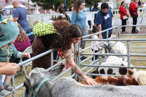 A woman pets a goat in a petting zoo, surrounded by people and various animals in a fenced area.
