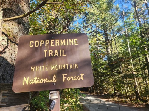 A wooden sign for Coppermine Trail in White Mountain National Forest, surrounded by trees and a clear blue sky.