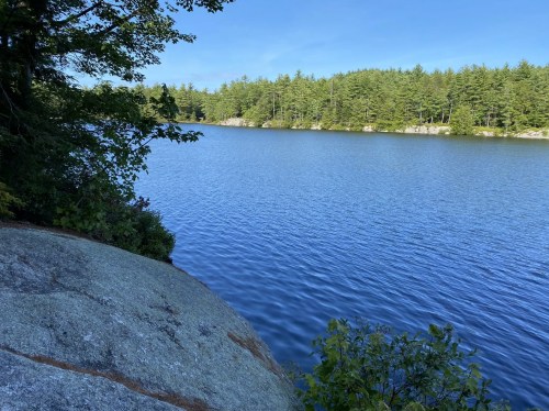 A serene lake surrounded by trees, with calm blue water reflecting the clear sky. A large rock is in the foreground.