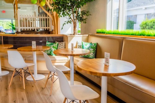 Bright café interior with wooden tables, white chairs, and green plants, creating a cozy atmosphere.