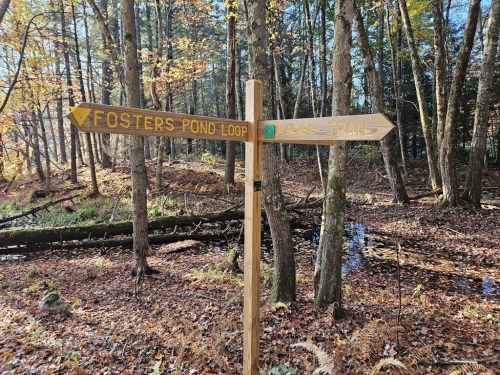 Wooden signpost in a forest, pointing to "Fosters Pond Loop" and "Basil Trail," surrounded by autumn foliage.
