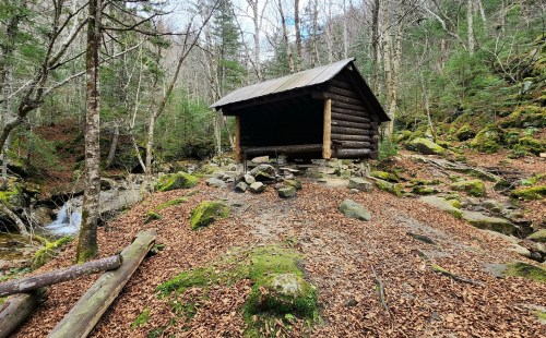 A rustic wooden shelter surrounded by trees and fallen leaves, near a small stream in a forested area.