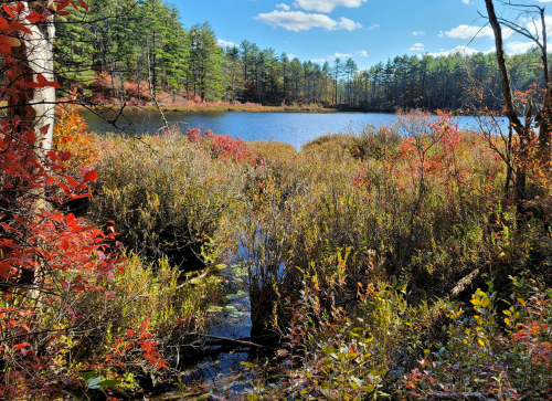 A serene lake surrounded by vibrant autumn foliage and trees under a clear blue sky.