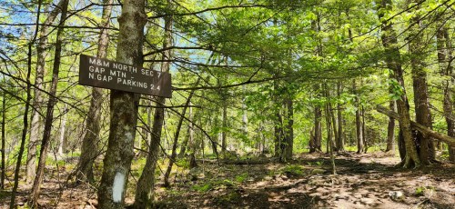 Trail sign in a lush forest, indicating directions to M&M North Section 7 and North Gap Parking 2.4 miles ahead.