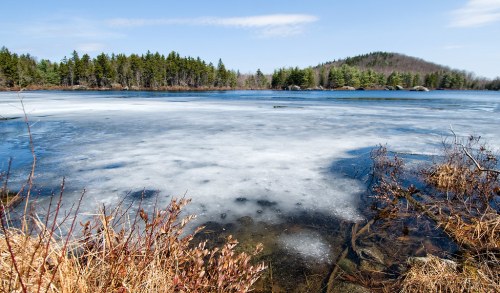 A serene lake partially covered in ice, surrounded by trees and a distant hill under a clear blue sky.