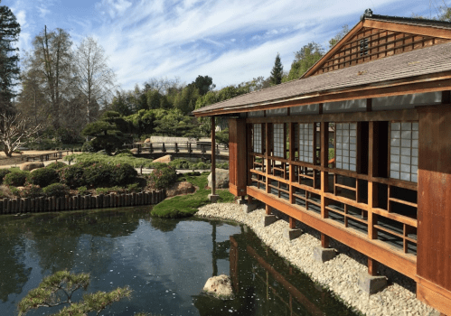 A serene Japanese garden featuring a wooden building, pond, and lush greenery under a clear blue sky.