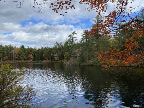 A serene lake surrounded by trees with autumn foliage and a cloudy sky reflecting on the water's surface.