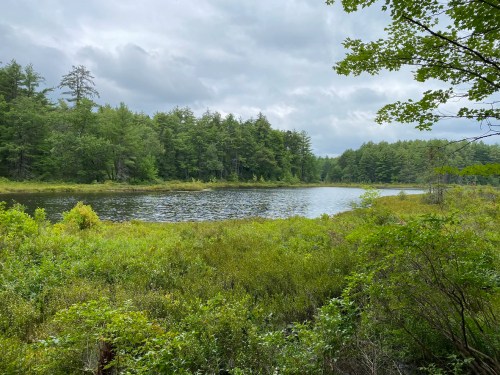 A serene lake surrounded by lush greenery and trees under a cloudy sky.