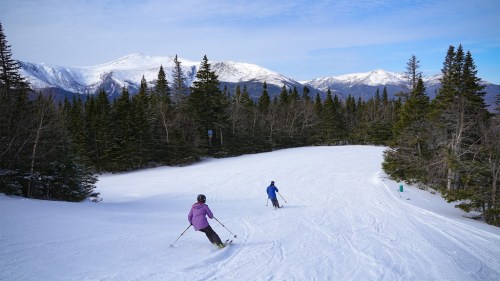 Two skiers navigate a snowy slope surrounded by evergreen trees and mountains under a clear blue sky.