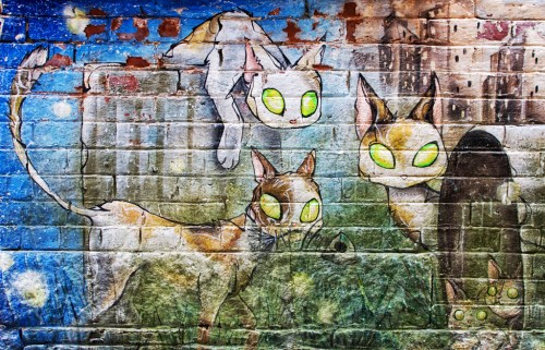 Colorful mural of whimsical cats with glowing green eyes on a brick wall, set against a blue and green background.