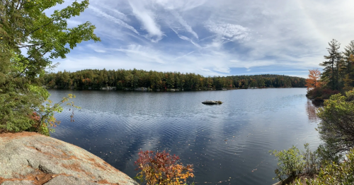 A serene lake surrounded by trees, with a rocky shoreline and a clear blue sky reflecting on the water.