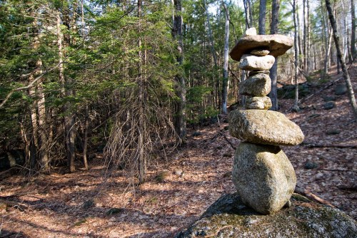 A balanced stack of stones in a forest, surrounded by trees and fallen leaves.