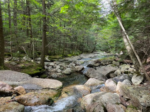 A serene forest scene with a flowing creek surrounded by rocks and lush green trees.