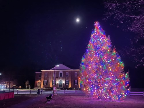 A brightly lit Christmas tree adorned with colorful lights stands in front of a building under a moonlit night sky.