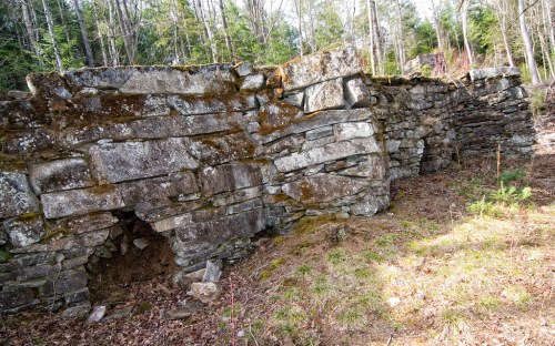 Ruins of a stone wall covered in moss, surrounded by trees and underbrush in a forested area.