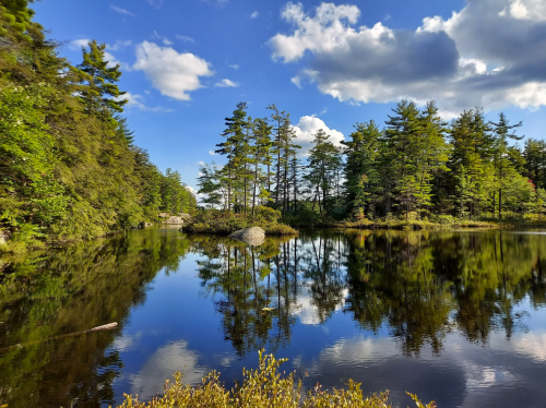 A serene lake surrounded by lush trees, reflecting the blue sky and fluffy clouds above.