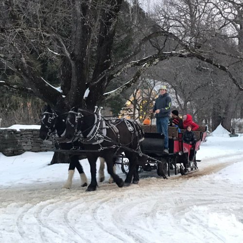 A horse-drawn sleigh carries passengers through a snowy landscape, surrounded by trees and a cozy atmosphere.