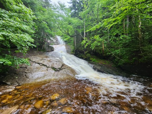 A serene waterfall cascading over rocky terrain, surrounded by lush green trees and a tranquil forest setting.