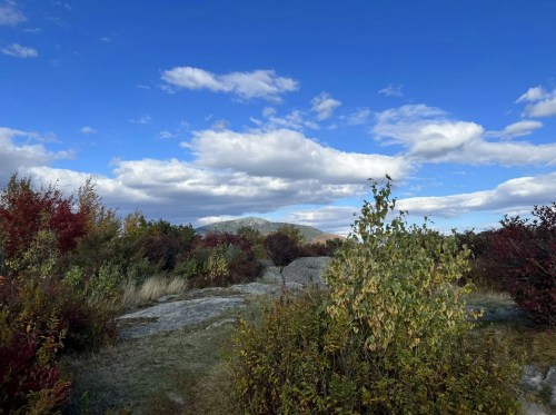 A scenic view of a rocky landscape with colorful autumn foliage under a blue sky with fluffy clouds.