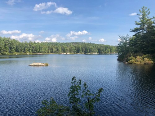 A serene lake surrounded by lush green trees under a clear blue sky, with a small rock island in the water.