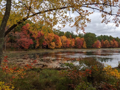 A serene lake surrounded by vibrant autumn foliage in shades of red, orange, and yellow under a cloudy sky.