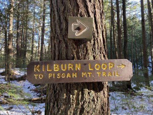 A wooden sign on a tree pointing to "Kilburn Loop" and "To Pisgah Mt. Trail" in a snowy forest.