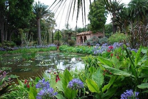 Lush garden with vibrant flowers, a serene pond, and a charming building in the background surrounded by palm trees.