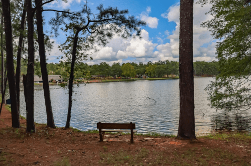 A serene lakeside view with a wooden bench, surrounded by trees and a cloudy blue sky.