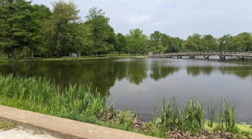 A serene park scene featuring a calm pond, lush greenery, and a wooden bridge in the background under a cloudy sky.