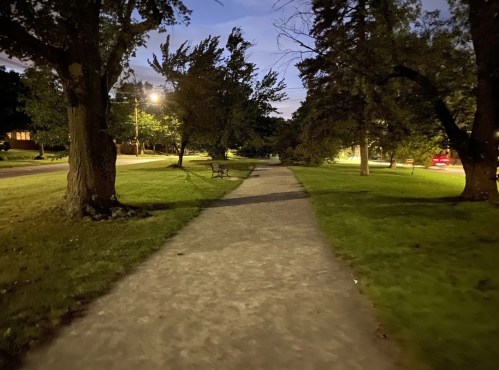 A dimly lit park path lined with trees, benches, and a few distant streetlights at dusk.