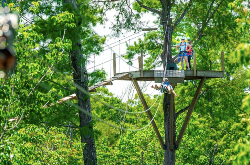 Two people stand on a platform in a tree, preparing to zip line through a lush green forest.