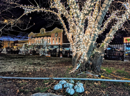 A tree wrapped in lights stands near pumpkins, with a festive building illuminated in the background at night.