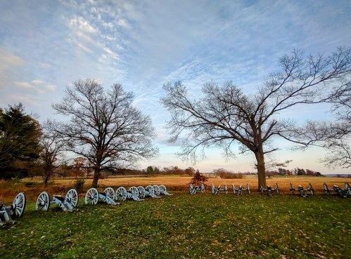 A row of historic cannons lined up on grassy land, with bare trees and a cloudy sky in the background.