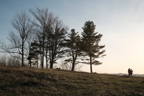 Silhouetted trees against a sunset, with two people standing together on a grassy hill.