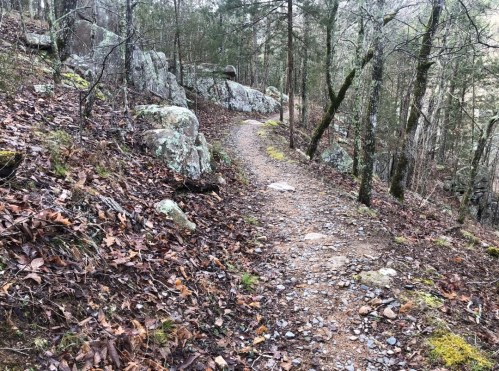 A winding dirt path through a forested area, surrounded by rocks and fallen leaves.