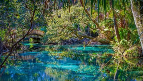 A serene river scene with a wooden bridge, surrounded by lush greenery and vibrant blue water reflecting the trees.