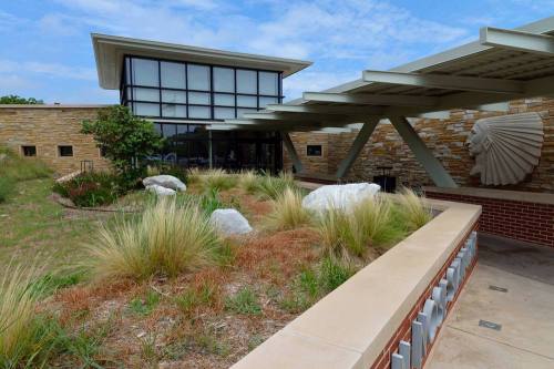 Modern building with large windows, surrounded by landscaped gardens featuring rocks and ornamental grasses.