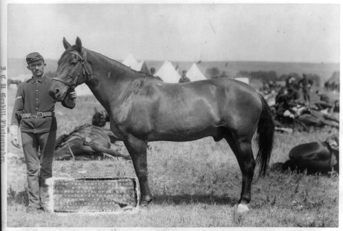 A soldier in uniform stands beside a horse, with tents and soldiers in the background on a grassy field.