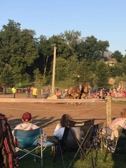 A horse-drawn carriage competes in a dirt arena, with spectators seated nearby under a clear blue sky.