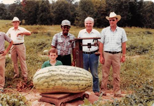 A group of five men, including a boy, poses with a large watermelon on a scale in a field.