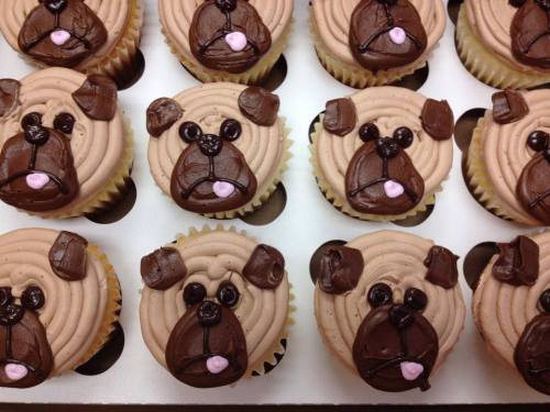 A tray of cupcakes decorated to look like cute dog faces with chocolate frosting and candy features.