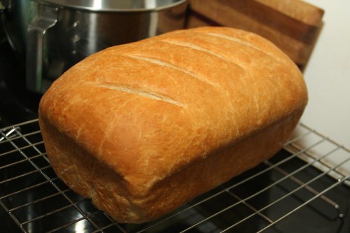 A freshly baked loaf of bread cooling on a wire rack in a kitchen setting.