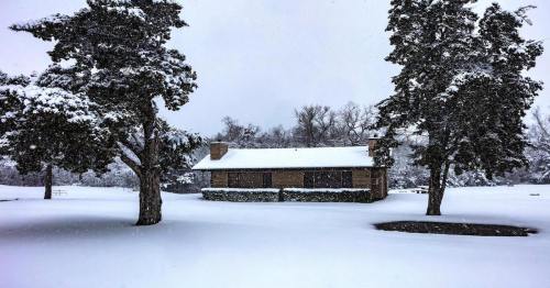 A cozy house surrounded by tall trees, blanketed in deep snow during a winter snowfall.