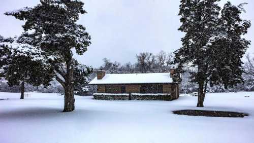 A snow-covered cabin surrounded by tall trees in a winter landscape, with heavy snowfall blanketing the ground.