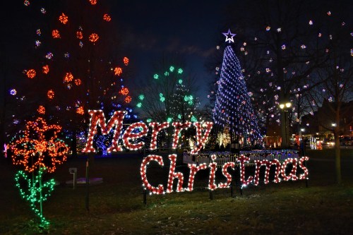 Colorful Christmas lights illuminate a park, featuring a large tree and a "Merry Christmas" sign.