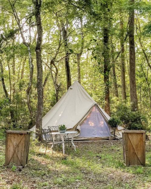 A cozy tent nestled in a forest, surrounded by trees, with a small table and chairs in front.
