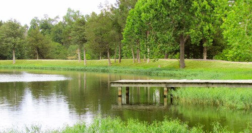 A serene lake scene with a wooden dock, surrounded by lush greenery and trees reflecting in the calm water.