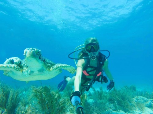 A diver in a pink bikini swims alongside a sea turtle in clear blue water.
