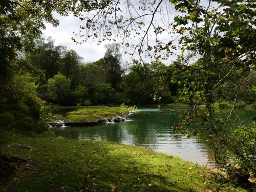 A serene lake surrounded by lush greenery and trees, with gentle ripples on the water's surface under a cloudy sky.
