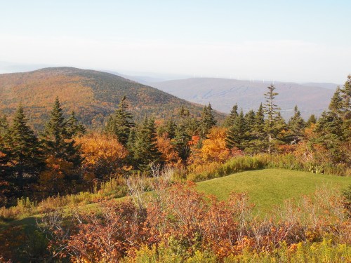A scenic view of rolling hills covered in autumn foliage, with green grass and distant mountains under a clear sky.